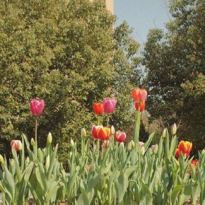 乐彩网app官方正版下载