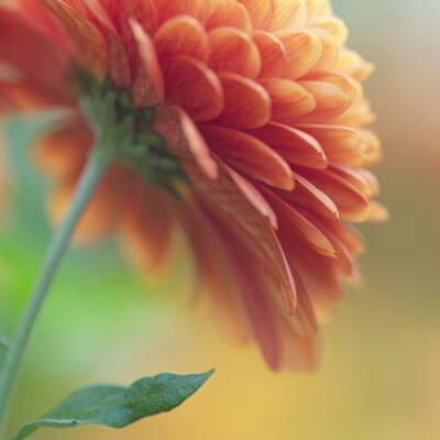 一分赛车app下载官方