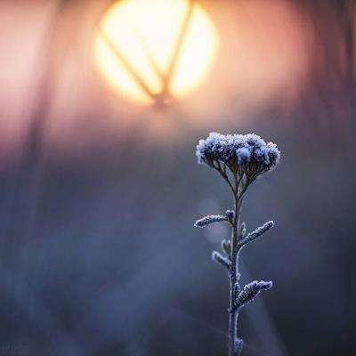 乐鱼官网手机版