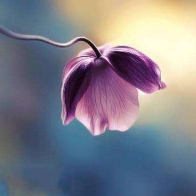 Kaiyun网页版在线登录入口